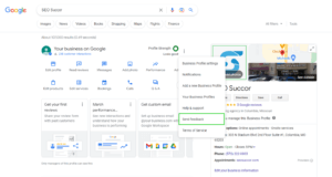 Screenshot of Google Business Profile Send Feedback button in SERP